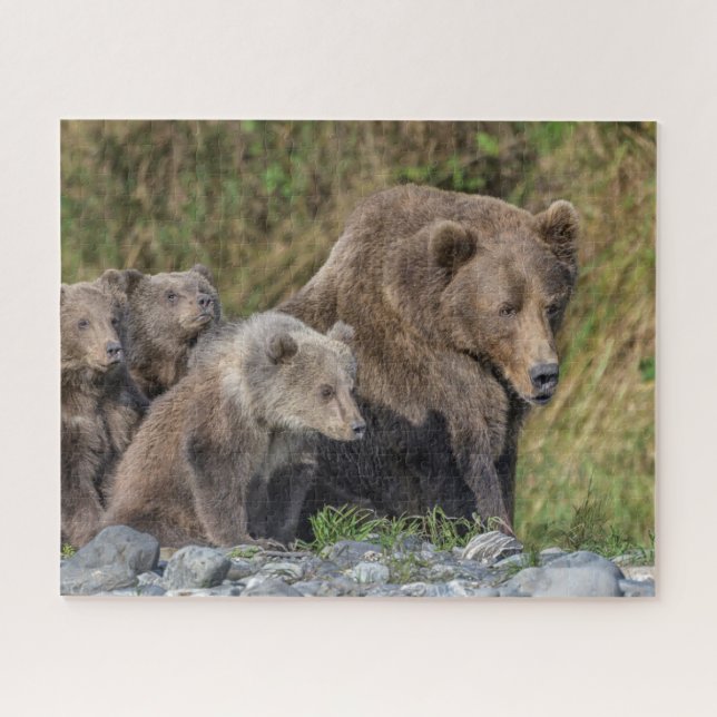 Puzzle Animaux de bébés cutest | Kodiak Mama Bear & Cubs (Horizontal)