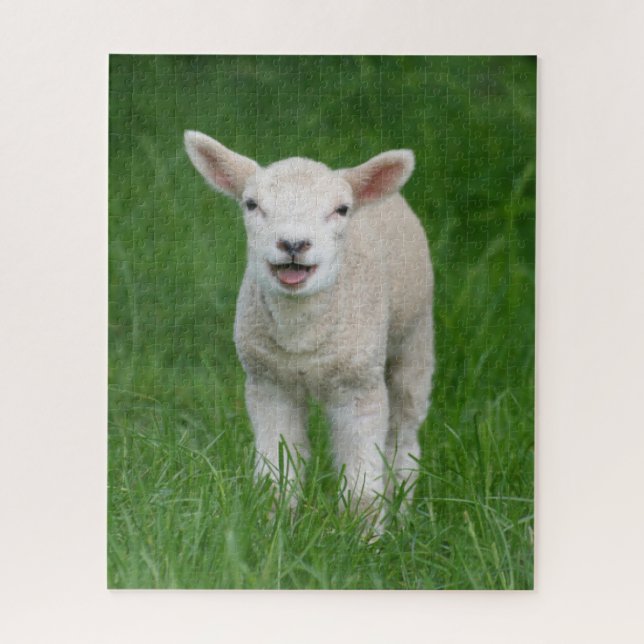 Puzzle Animaux de bébés cutest | Lil Lamb (Vertical)