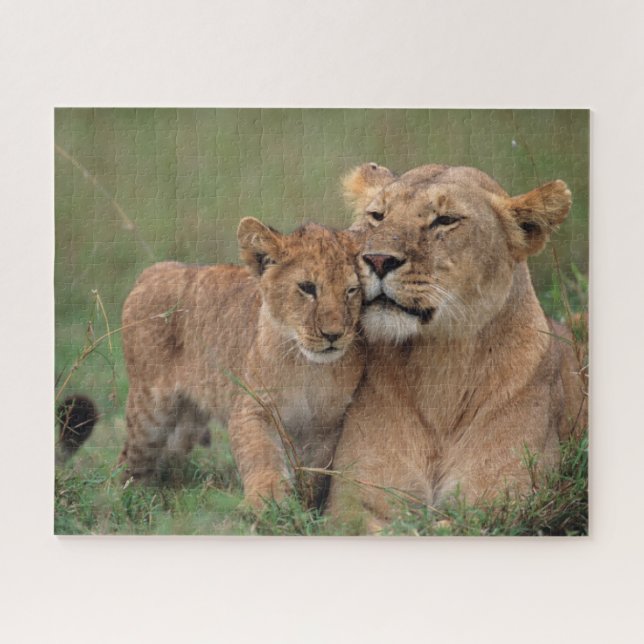 Puzzle Animaux de bébés cutest | Lion Cub & Mother (Horizontal)