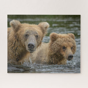 Puzzle Animaux de bébés cutest   Mama Bear & Her Cubs