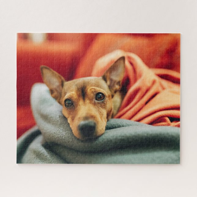 Puzzle Animaux de bébés cutest | Miniature Pinscher (Horizontal)