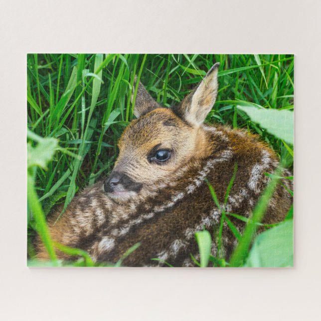 Puzzle Animaux de bébés cutest | Roe Deer Baby (Horizontal)
