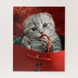 Puzzle Animaux de bébés cutest   Scottish Fold Kitten