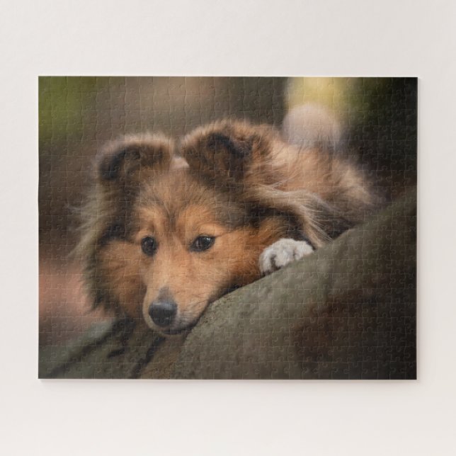 Puzzle Animaux de bébés cutest | Shetland Sheepdog Puppy (Horizontal)
