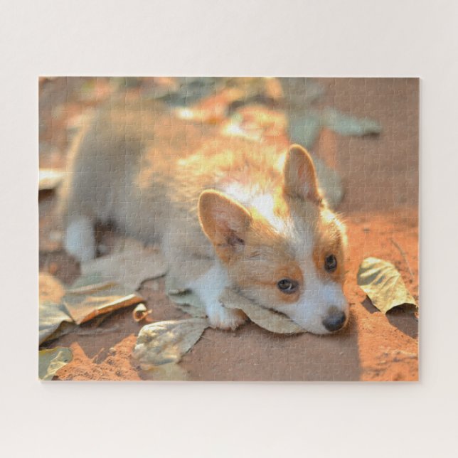 Puzzle Animaux de bébés cutest | Shy Corgi (Horizontal)