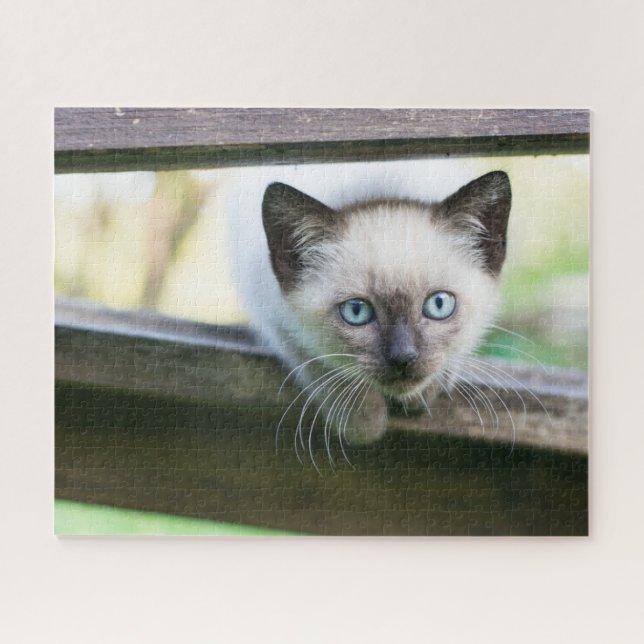 Puzzle Animaux de bébés cutest | Siamese Kitten 2 (Horizontal)