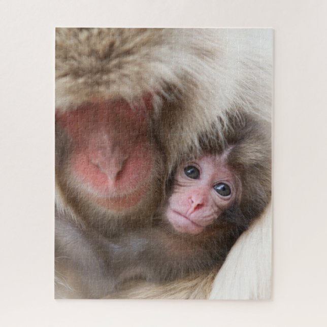 Puzzle Animaux de bébés cutest | Singe des neiges (Vertical)