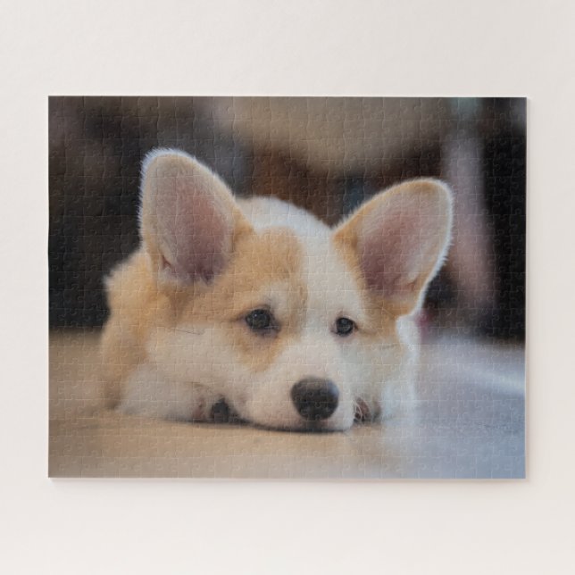 Puzzle Animaux de bébés cutest | Sleepy Corgi Puppy (Horizontal)