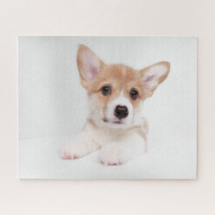 Puzzle Animaux de bébés cutest   Sweet Baby Corgi