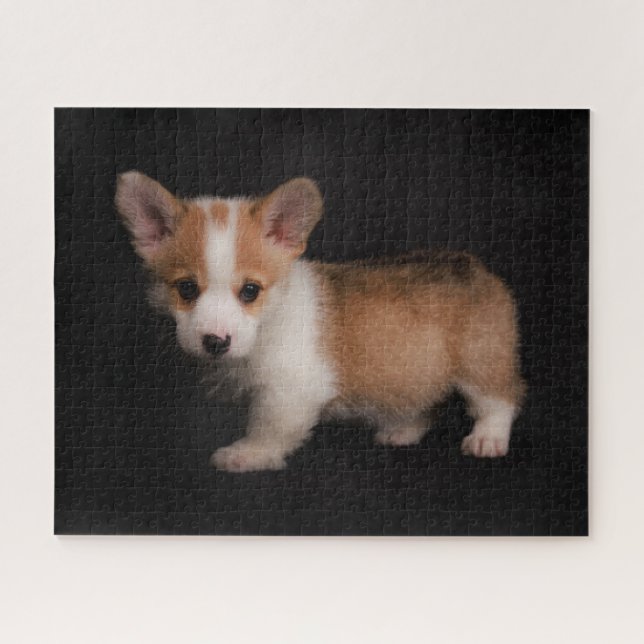 Puzzle Animaux de bébés cutest | Tiny Corgi (Horizontal)