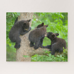 Puzzle Animaux de bébés cutest Trois jeunes petits ours