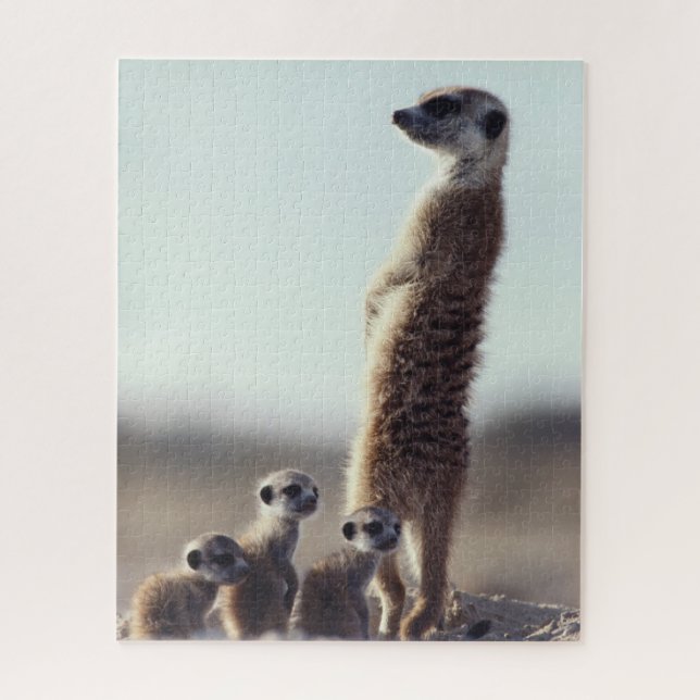 Puzzle Animaux de bébés cutest | Une famille de Meerkats (Vertical)