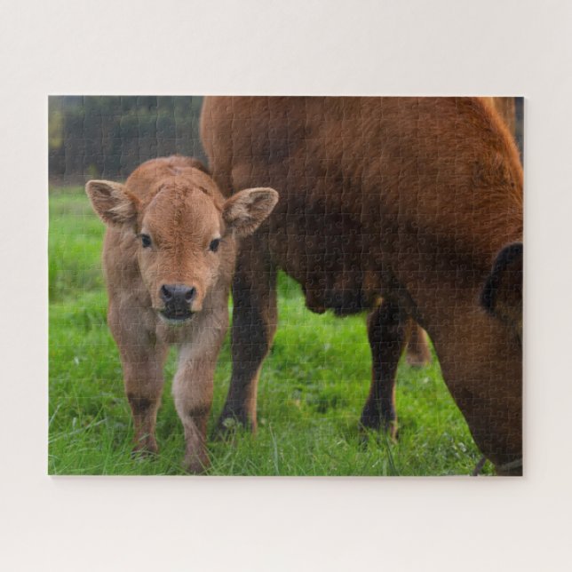 Puzzle Animaux de bébés cutest | Vache et veau (Horizontal)