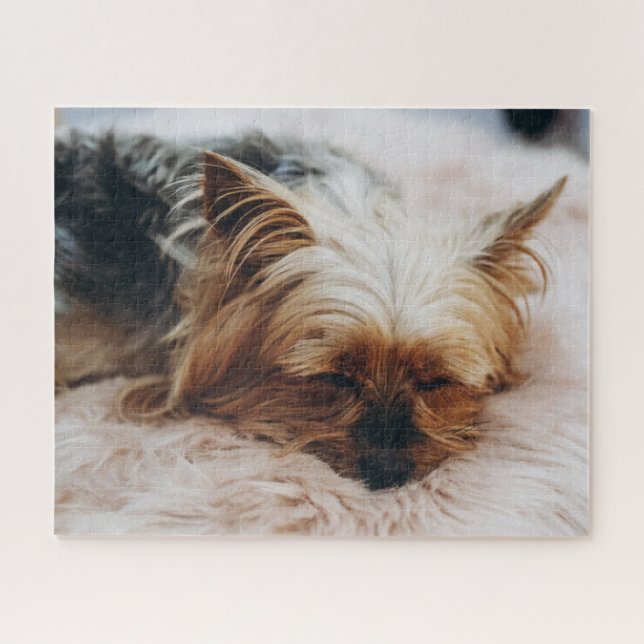 Puzzle Animaux de bébés cutest | Yorkshire Terrier (Horizontal)