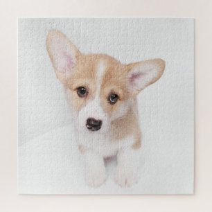 Puzzle Animaux de bébés cutest Young Corgi Puppy