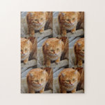 Puzzle Animaux de compagnie Chien Chat Photo Fun Personna<br><div class="desc">Cette conception a été créée par art numérique. Elle peut être personnalisée en cliquant sur le bouton personnaliser et en modifiant la couleur, en ajoutant un nom, des initiales ou vos mots préférés. Contactez-moi à l'adresse colorflowcreations@gmail.com si vous souhaitez que ce design soit disponible sur un autre produit. Achetez ma...</div>