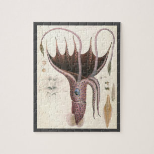 Puzzle Animaux de la vie marine vintage, calmar parapluie