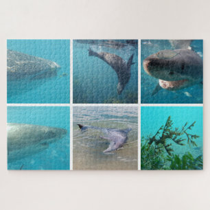Puzzle Animaux de vie sous-marine, 1014 pièces