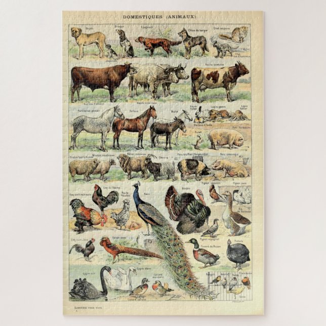 Puzzle Animaux domestiques vintages par Adolphe Millot (Vertical)