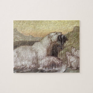 Puzzle Animaux Sauvages de Collection, Ours Polaires par 