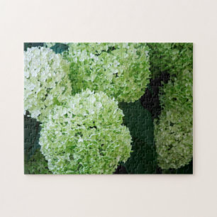 Puzzle Annabelle blanche Hydrangeas