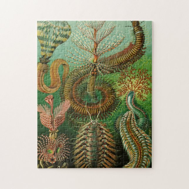 Puzzle Annélie par Ernst Haeckel (Vertical)