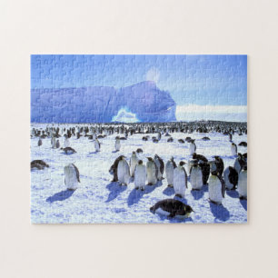 Puzzle Antarctique, péninsule Antarctique, mer de Weddell