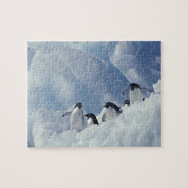 Puzzle Antarctique. Pingouins d'Adelie (Horizontal)