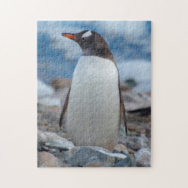 Puzzle Antarctique. Port Neko. Manchot papou (Vertical)