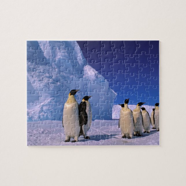 Puzzle Antarctique, territoire australien antarctique, 7 (Horizontal)