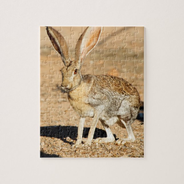 Puzzle Antelope portrait de lapin, Arizona (Vertical)
