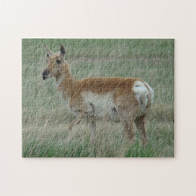 Puzzle Antilope d'Amérique femelle A31 (Horizontal)