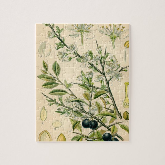 Puzzle Antique Blackthorn Botanique Imprimé Fleur Berry (Vertical)