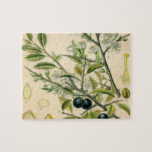 Puzzle Antique Blackthorn Botanique Imprimé Fleur Berry