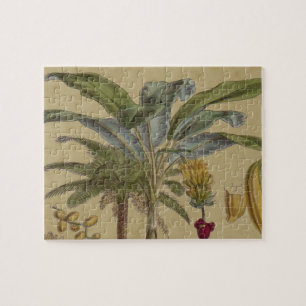 Puzzle Antique Tropical Palm Fruit Botanique