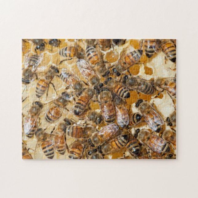 Puzzle Apiculture à la ferme d'Arlo's Honey (Horizontal)
