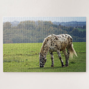 Puzzle Appaloosa Cheval pâturant dans un champ