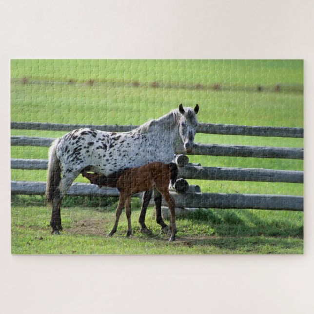 Puzzle Appaloosa Mare et Cheval de Colt (Horizontal)