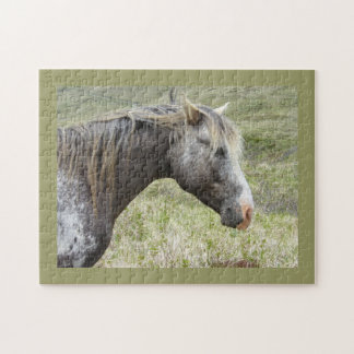 Puzzle Appaloosa sauvage sur l'île d'Unalaska