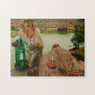 Puzzle Appel photo-Singe Badami Inde