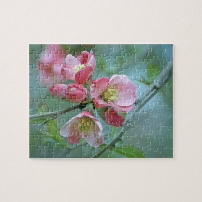 Puzzle Apple Blossom #P0356 (Horizontal)