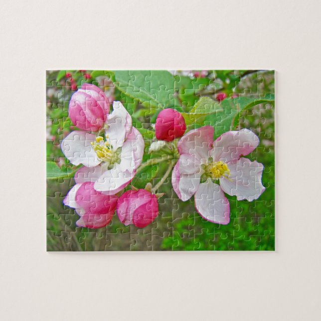Puzzle Apple Blossom Time (Horizontal)