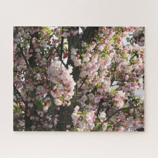 Puzzle Apple Blossoms