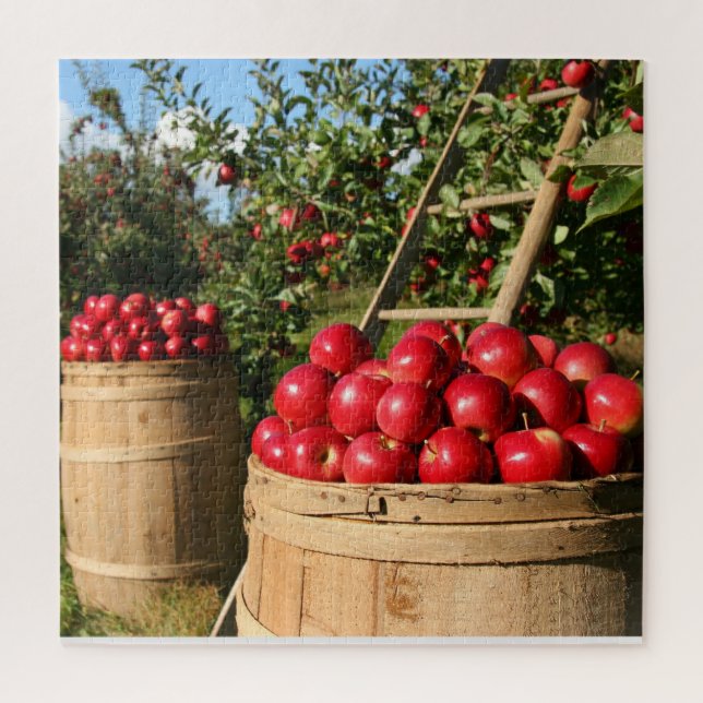 Puzzle Apple Harvest (Vertical)