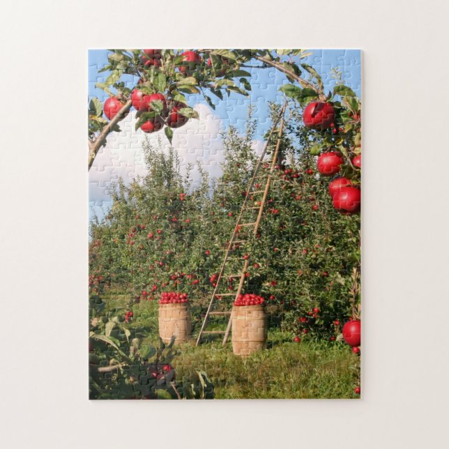 Puzzle Apple Orchard (Vertical)