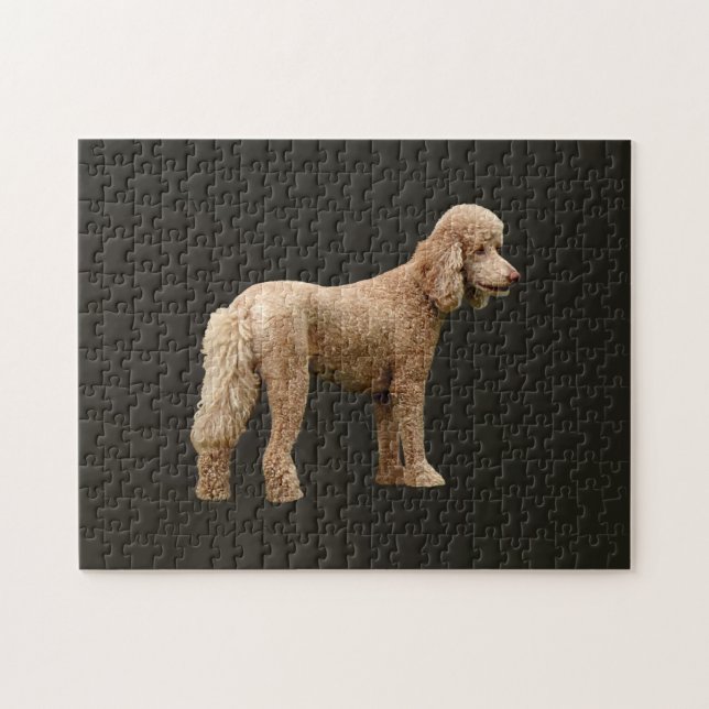 Puzzle Apricot Poodle (Horizontal)