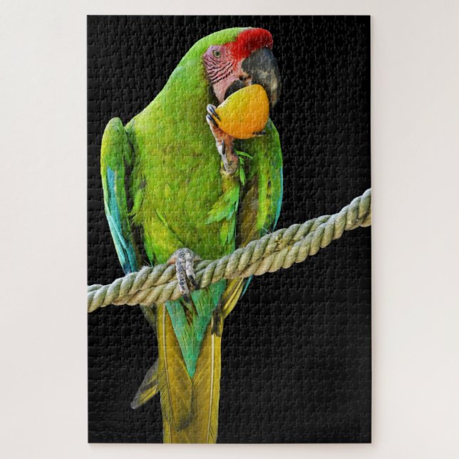 Puzzle Ara Militaris Perroquet Vert (Vertical)