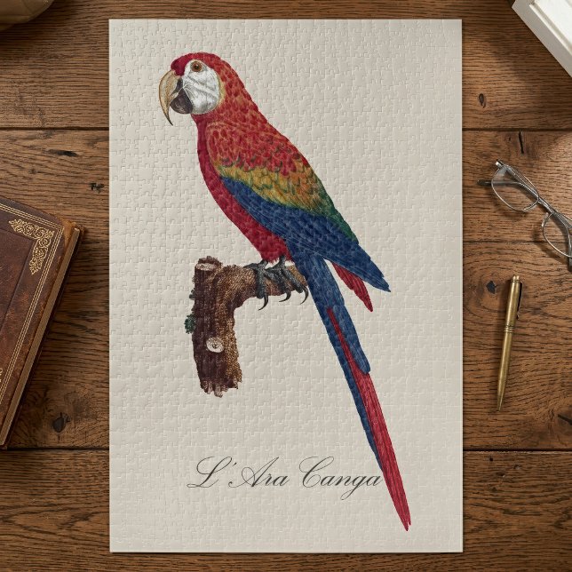 Puzzle Ara rouge ou Ara macao, Ara macao (Scarlet Macaw or Red-Breasted Macaw, Ara macao. Jigsaw Puzzle)