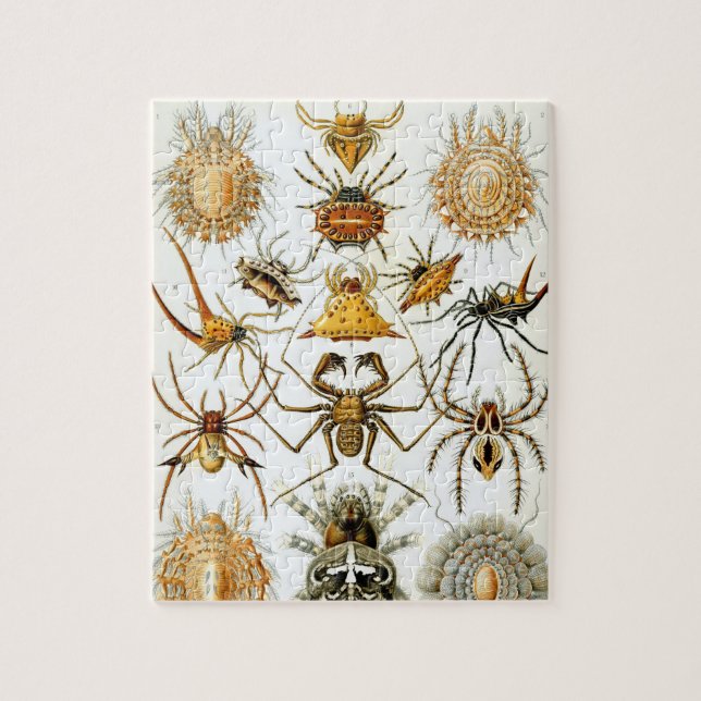Puzzle Arachnides par Ernst Haeckel, Araignées Vintages (Vertical)