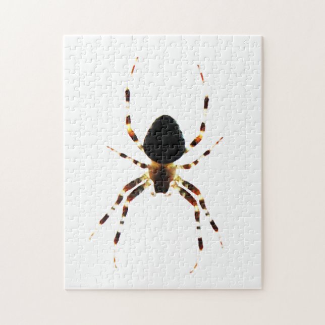 Puzzle Araignée 11x14 jpcn 252pc (Vertical)